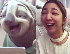 商标侵权行为认定的依据