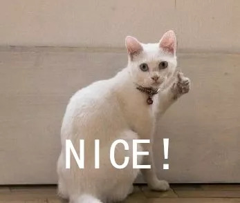 商标和公司名统一好吗？