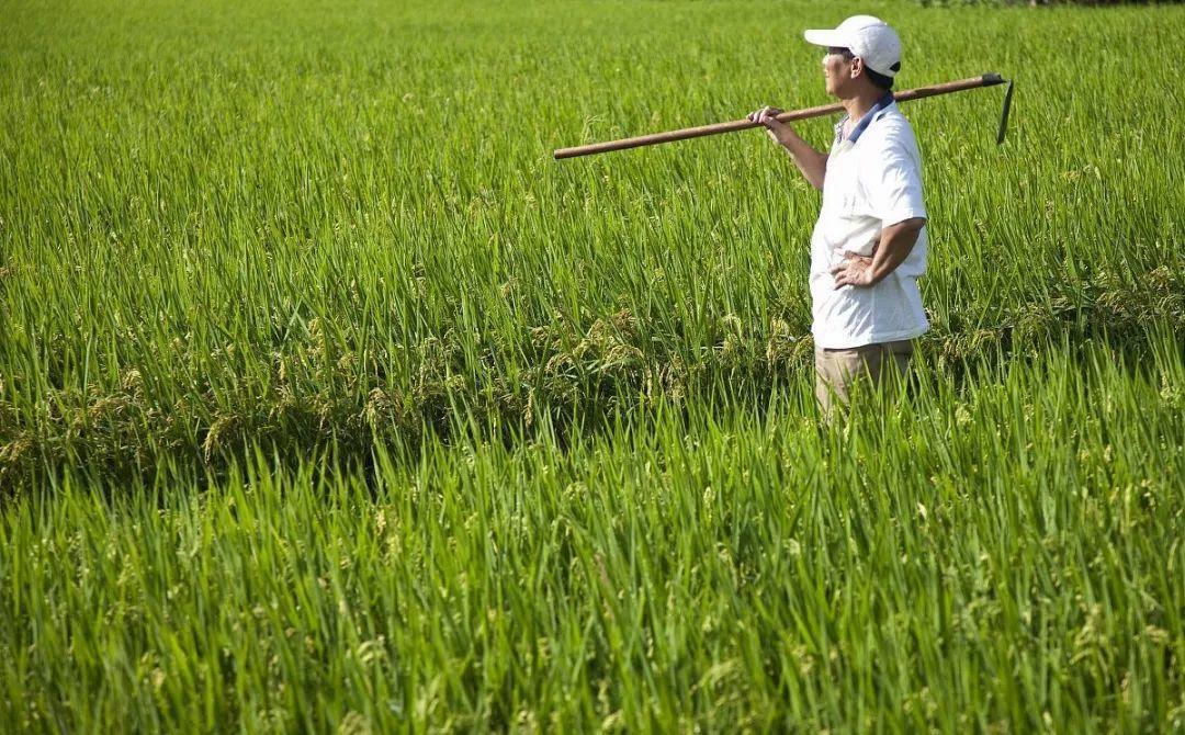 农产品商标注册有什么好处?