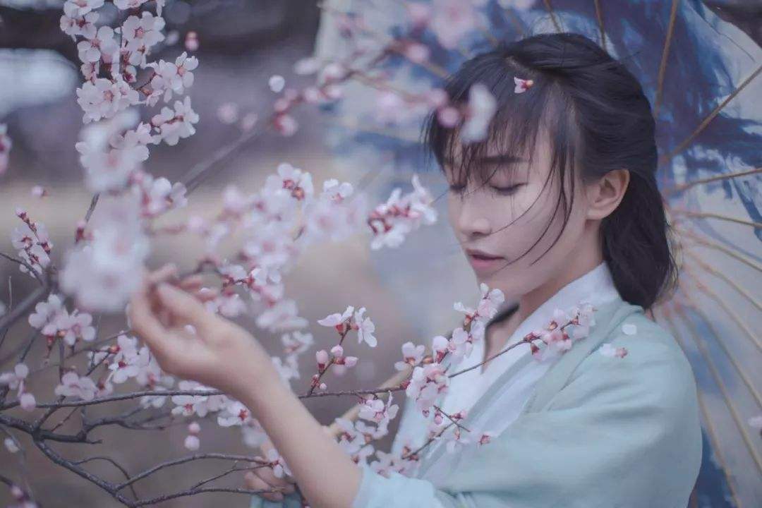 月收入千万，网红李子柒火了！背后公司注册百余商标！